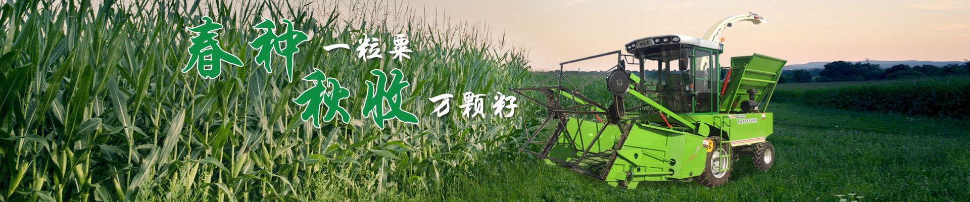 多乐游戏被冻结账号