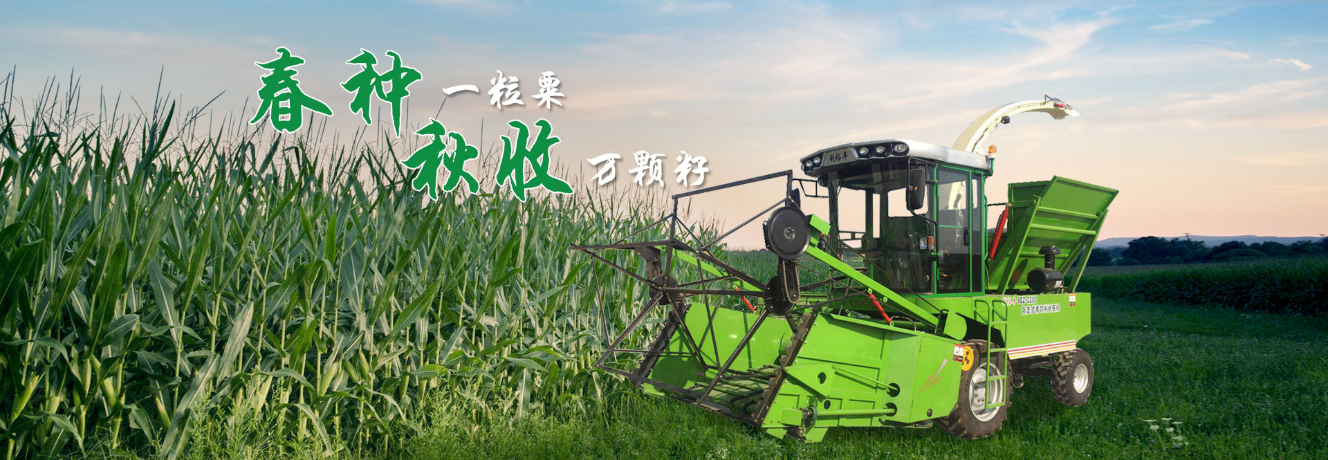 多乐游戏被冻结账号